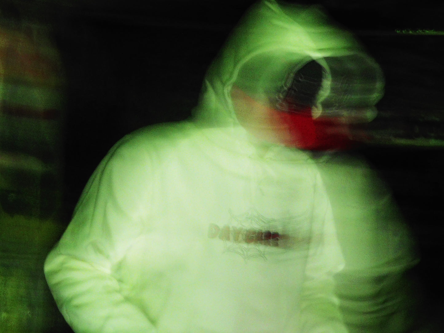 Spider Hoodie